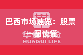 巴西市场速览：股票 一图读懂