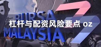 杠杆与配资风险要点 oz