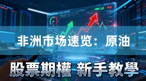 非洲市场速览：原油