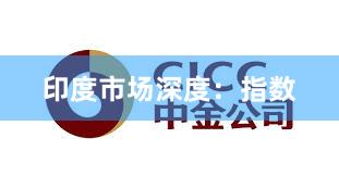 印度市场深度：指数