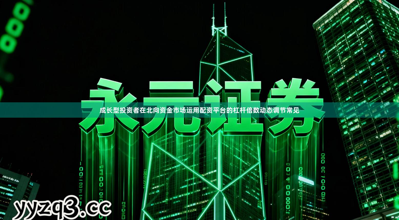 成长型投资者在北向资金市场运用配资平台的杠杆倍数动态调节常见